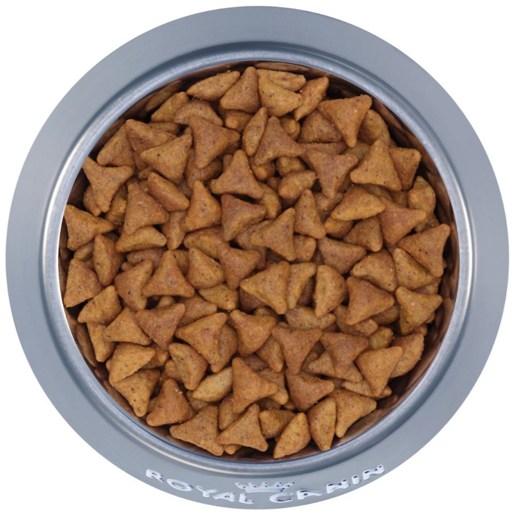 Thức ăn cho mèo trưởng thành ROYAL CANIN Indoor 27-311