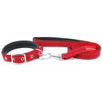 Xích cho chó kèm vòng cổ HAND IN HAND Reflective Collar Leash-150