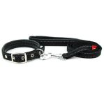 Xích cho chó kèm vòng cổ HAND IN HAND Reflective Collar Leash-152